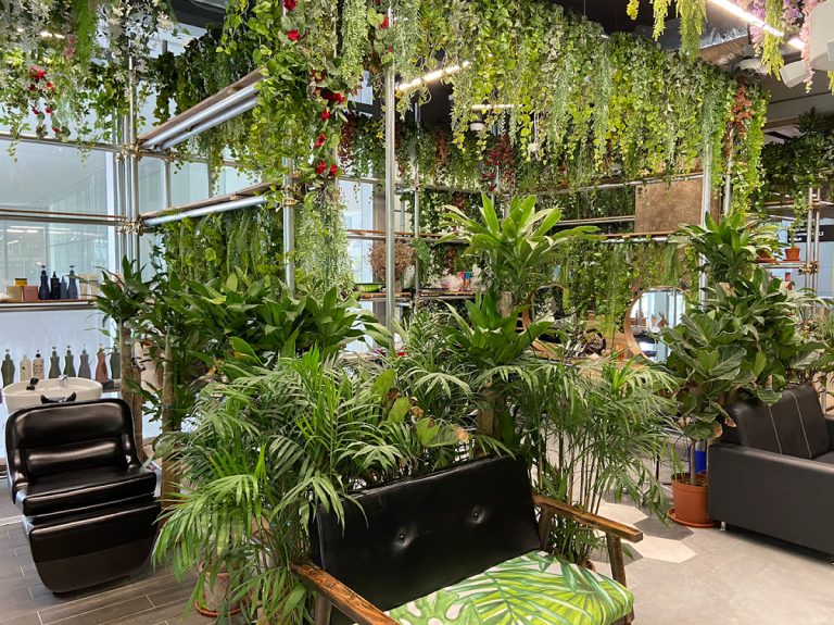 You Are My Sunshine Korean Hair Salon copy 768x575